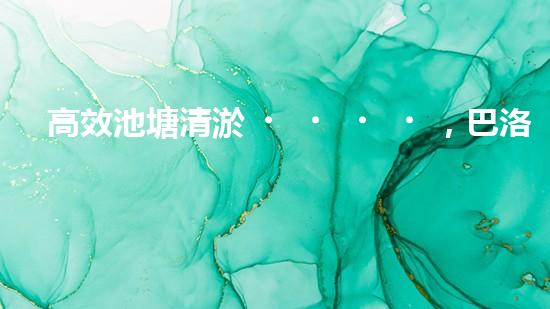 高效池塘清淤，巴洛仕設(shè)備助您一臂之力